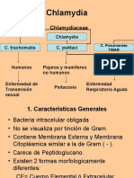 Chlamydia 1