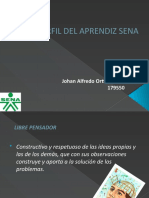 1johan Ortiz Perfil Del Aprendiz Sena