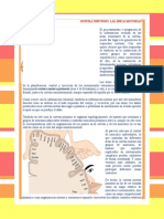 Areas de Brodmann