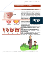 Boletin #1 - 15 (Enero) - Hiperplasia Benigna de Próstata