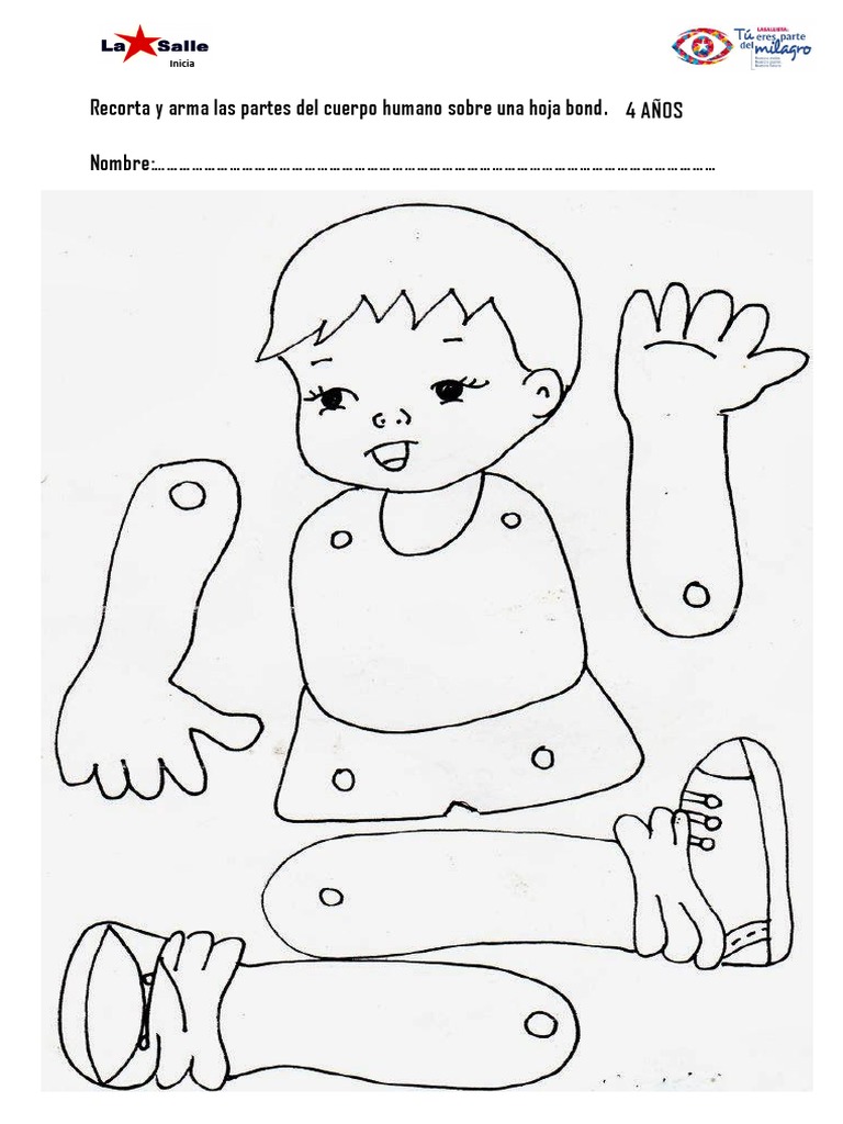 Ficha de Trabajo Partes Del Cuerpo | PDF