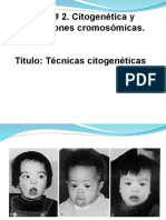 2 - Técnicas Citogenéticas