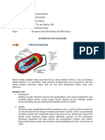 Aidil Defitra Harrsi - Mikrobiologi Dasar