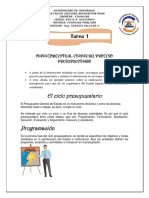 Tarea 1: El Ciclo Presupuestario