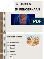 Sistem Pencernaan Manusia Kelas 8