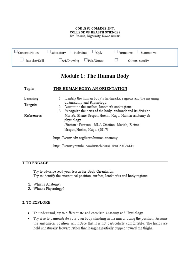 Human Body Orientation and Terminology | PDF | Anatomical Terms Of ...