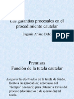 Eugenia Ariano Las Garantias Procesales en El Procedimientocautelar