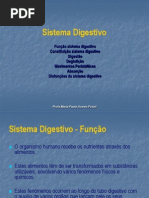 Sistema Digestivo