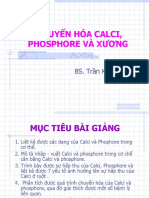 Bài 17.Chuyển Hoá Calci, Phosphore Và Xương