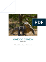 Komodo Dragon: Report Text