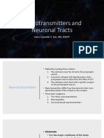 Neurotransmitters and Neuronal Tracts