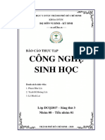 - Báo Cáo Thực Tập CNSH