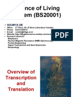 Science of Living System (BS20001) Overview of Transcription and Translation