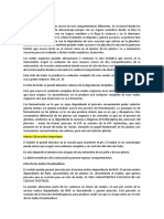 Respiración vegetal: procesos y compartimentos