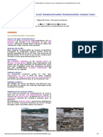 Rappel Du Cours 1:nos Amis Les Animaux Le On 3: PR Sentation D Un Dossier Sur Les Animaux/une Rencontre/paroles de Chat