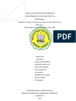PDF Makalah Inkontinensia Urineampfistula Genetaliadocx Compress