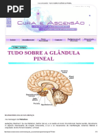 Tudo Sobre a Glandula Pineal