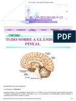 Tudo Sobre A Glandula Pineal