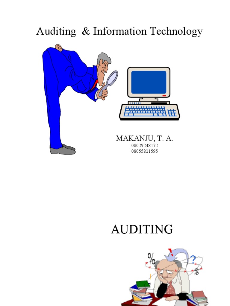 Audit Thro Computer Big Team | PDF | Audit | Business