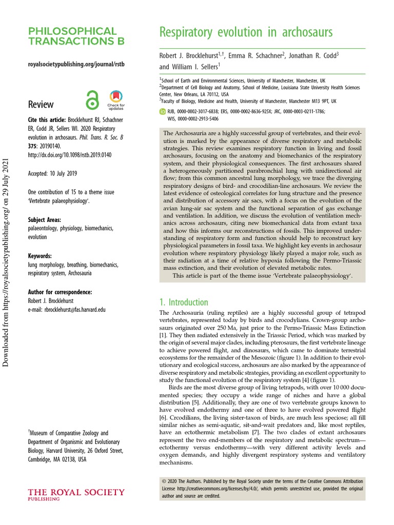 Respiratory Evolution in Archosaurs | PDF | Lung | Vertebra