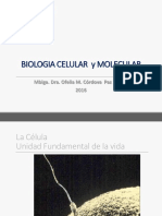 Biologia Celular Y Molecular: Mblga. Dra. Ofelia M. Córdova Paz Soldán 2016