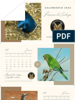 Calendário 2022 - Observatório de Pássaros