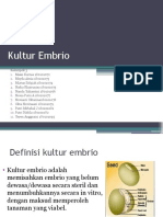 Kultur Embrio Kel.3