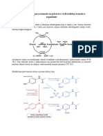 Metabolički Put Paracetamola Uz Prisustvo Većih Količina Etanola U Organizmu