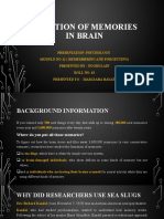 Location of Memories in Brain