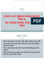 XN nước tiểu y2 2