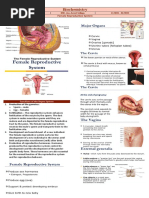 Transes Anaphy Femle Repro System