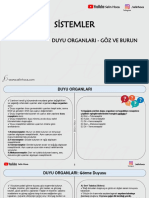 47) Sistemler - Duyu OrganlarÄ