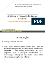 Anatomia e Fisiologia do Sistema Locomotor