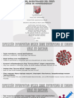 Quechua Exposición Informativa Sobre El Coronavirus