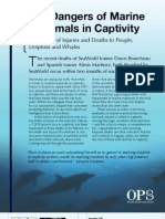 OPS Timeline: The Dangers of Marine Mammals in Captivity