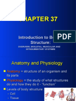 Introduction To Body Structure