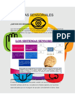 Vías sensitivas: recolectan información del organismo