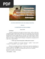 OS CINCO PROPÓSITOS DE UMA IGREJA SAUDÁVEL