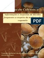 Cogumelo (Psilocybe Cubensis)