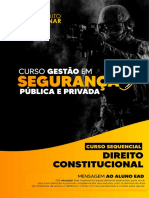 Apost. 4 de Direito Constitucional Felipe- Gestão em Segurança Pública e Privada
