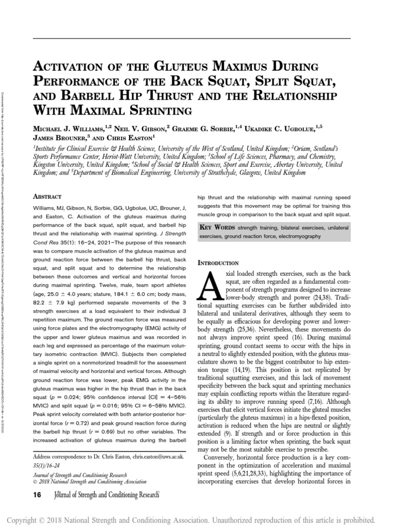 Gluteal muscles visual data 2