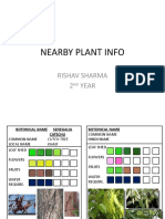 Nearby plant info guide