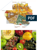 Vitaminas y Minerales