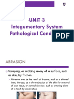 Unit 3 Integumentary System Pathological Conditions