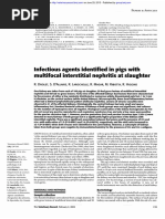 Infectious Agents Identified With Multifocal Interstitial Nephritis at Slaughter