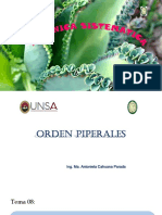 Clase 8 .Orden Piperales
