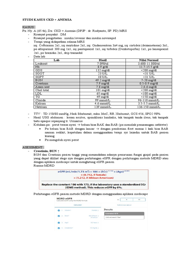 Studi Kasus CKD | PDF