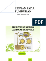 STRUKTUR DAN FUNGSI BIJI PADA TUMBUHAN