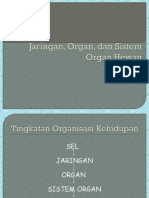 jaringan-hewan