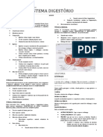 Últimas provas de histologia e anatomia do sistema digestório